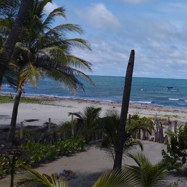 La imagen representa una serena escena playera con una tranquila masa de agua, una orilla arenosa y una exuberante vegetación, que evoca una sensación de relajación y belleza natural.