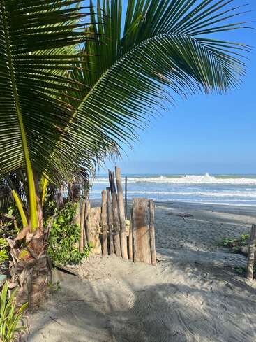 Una escena de playa tropical con una valla de madera rústica, palmeras y arena suave que conduce a las olas del océano, bajo un cielo azul claro y brillante.