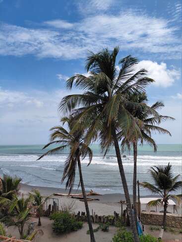 Altas palmeras se alzan sobre una playa de arena, con vistas a las suaves olas bajo un cielo azul brillante salpicado de nubes suaves y tenues. Abundan la brisa marina y la tranquilidad.