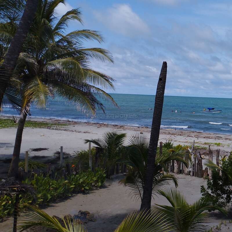 La imagen representa una serena escena playera con una tranquila masa de agua, una orilla arenosa y una exuberante vegetación, que evoca una sensación de relajación y belleza natural.