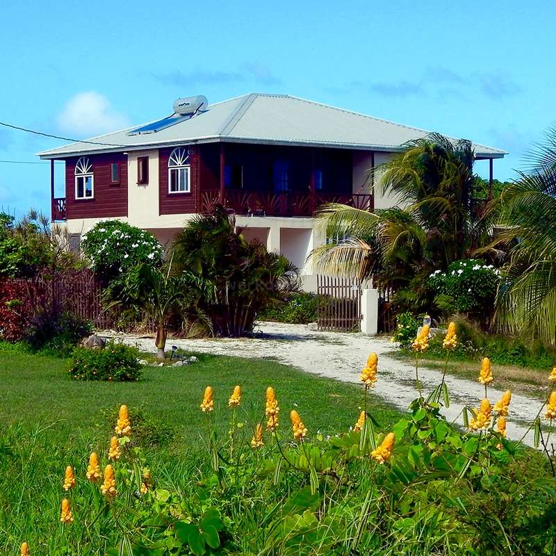 Help on our farm in a rustic fishing village, Eastern coast of Barbados