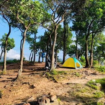 A imagem mostra um acampamento sereno aninhado entre árvores, com uma barraca amarela e azul vibrante, com uma pessoa em pé ao fundo, em um pitoresco céu azul.