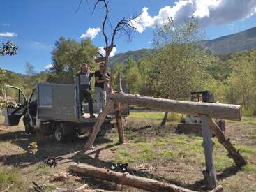 Two people stand on a truck bed in a sunny, grassy field with mountains in the background. Large wooden logs and outdoor tools surround them, suggesting construction.