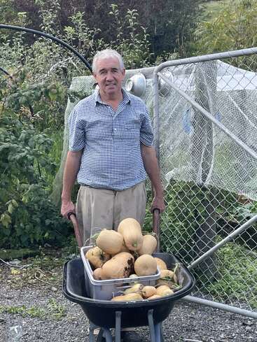 A man stands outdoors behind a wheelbarrow filled with freshly harvested squash. He wears a checkered shirt and khaki pants, smiling in a garden setting.