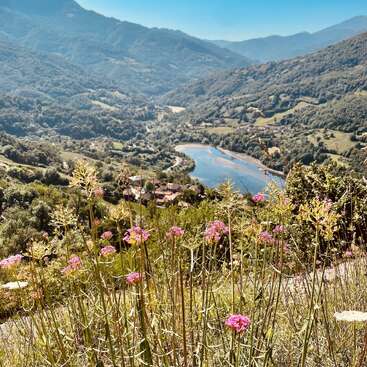 Flores silvestres em primeiro plano com vista para um vale verdejante. Um rio sinuoso brilha abaixo, cercado por montanhas e vilarejos espalhados sob um céu azul claro.