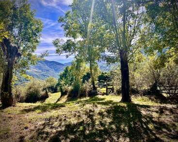 La luz del sol se filtra entre los frondosos árboles, proyectando sombras sobre el suelo cubierto de hierba. Una puerta de madera y una valla conducen a unas colinas verdes y onduladas bajo un cielo azul brillante.
