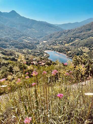 Wildblumen im Vordergrund überblicken ein üppig grünes Tal. Unten glitzert ein gewundener Fluss, umgeben von Bergen und verstreuten Dörfern unter einem klaren blauen Himmel.