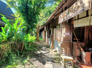 Um caminho iluminado pelo sol passa entre plantas verdes exuberantes e um prédio rústico de madeira com janelas abertas, cadeiras e placas, evocando uma atmosfera rural e pacífica.