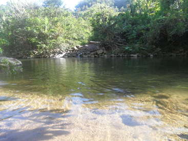 Das Bild zeigt eine ruhige Flussszene mit einem sandigen Ufer, umgeben von üppigem Grün und großen Felsen, vor einem hellen und sonnigen Hintergrund.