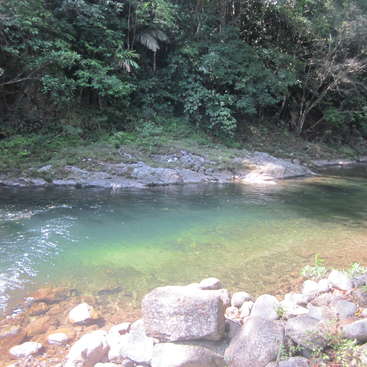 Seeking Housesitters To Care For Our Farm In Mountains Of Panama