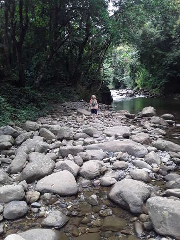 Ein junges Mädchen steht auf Felsen in einem seichten Fluss, umgeben von üppigem Grün, mit einer ruhigen Atmosphäre und einem ruhigen Gewässer.