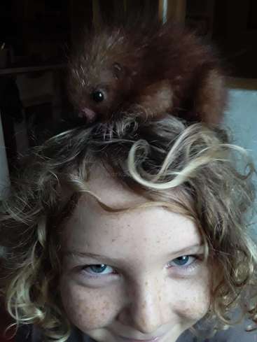 Das Bild zeigt ein kleines Kind mit lockigem blondem Haar und Sommersprossen, das in die Kamera lächelt und ein kleines braunes Tier auf dem Kopf hat.