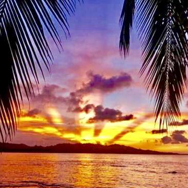 La imagen representa una serena puesta de sol sobre una masa de agua, enmarcada por palmeras, con nubes vibrantes y un cielo cálido y dorado.
