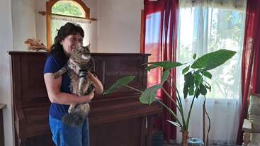 Une femme se tient dans une pièce confortable, tenant un chat tout doux dans ses bras. Derrière elle, on aperçoit un piano, une plante verte, des rideaux rouges et la lumière du soleil qui pénètre par les fenêtres.