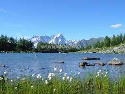 La imagen representa una serena escena lacustre con una cadena montañosa al fondo, rodeada de árboles y rocas, con flores blancas en primer plano.