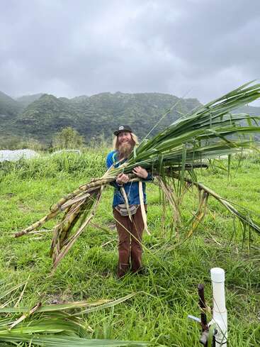 A man with long hair and a beard stands in a grassy field, holding a large bundle of green leaves, wearing a blue shirt and brown pants.
