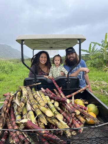 The image depicts a family of three in a golf cart, with a large basket of sugarcane and fruit in the foreground, set against a lush grassy field and mountainous backdrop.
