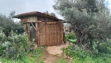 A small, rustic wooden shed with a slanted roof stands among green bushes and trees on a cloudy day, blending into the natural, overgrown surroundings.
