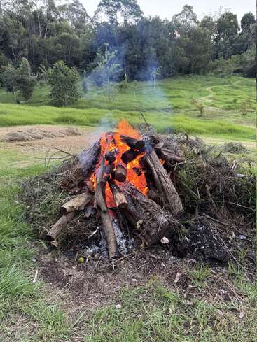 A bonfire burns brightly with orange flames and rising smoke in a grassy field, surrounded by logs and greenery, with dense forest in the background.