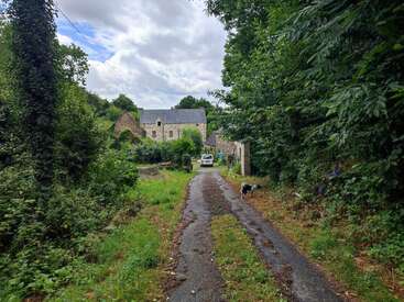 Uma rua estreita e rústica leva a uma antiga casa de pedra cercada por uma vegetação exuberante. Um cachorro fica perto do caminho e uma van branca está estacionada.