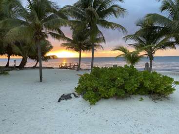 The image depicts a serene beach scene at sunset, featuring palm trees, a dock, and lush greenery, set against a vibrant orange and yellow sky.