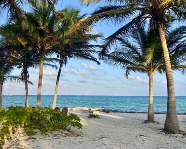 The image depicts a serene beach scene with palm trees, a sandy shore, and a tranquil ocean view, evoking a sense of relaxation and natural beauty.