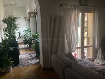 Un salon confortable avec un canapé gris, des rideaux transparents, de grandes fenêtres et un couloir adjacent rempli de plantes d'intérieur vertes luxuriantes et de tapis à motifs, créant ainsi une certaine tranquillité.