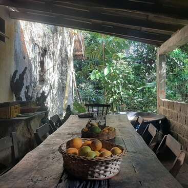 La imagen muestra un rústico comedor al aire libre con una mesa de madera, cestas de fruta y sillas, rodeado de exuberante vegetación y un muro de piedra.