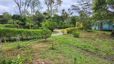 A lush green garden with neatly trimmed hedges, various small plants, scattered trees, and a gravel path winding through the area under a cloudy sky.