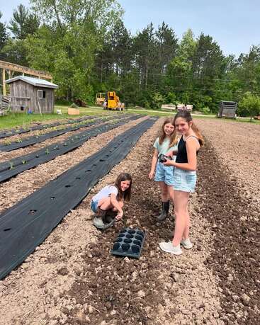 Three girls are happily planting in a garden, surrounded by rows of young plants, soil, trees, a wooden shed, and construction equipment on a sunny day.