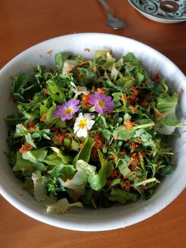 The image depicts a white bowl containing a fresh salad, comprising mixed greens, shredded carrots, and edible flowers, set on a wooden table with a spoon nearby.