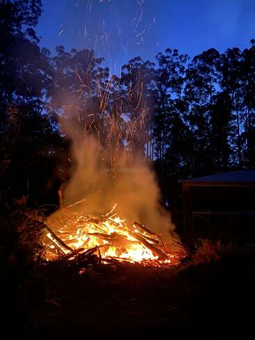 Un grand feu de camp brûle dans la nuit, projetant des braises et de la fumée dans le ciel bleu foncé, entouré de hautes silhouettes d'arbres et d'ombres.