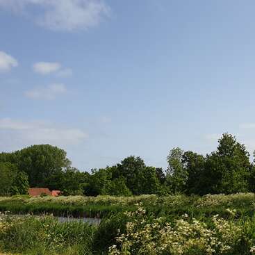 La imagen representa un paisaje sereno con una zona de césped y una masa de agua, rodeada de árboles y vegetación, que evoca una sensación de belleza natural y tranquilidad.