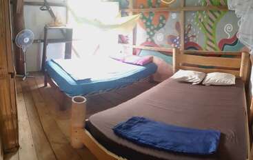 Cette chambre confortable comprend deux lits avec des draps colorés, un sol en bois, un ventilateur, des étagères et des peintures murales artistiques et vibrantes sur les murs, créant ainsi une atmosphère détendue.