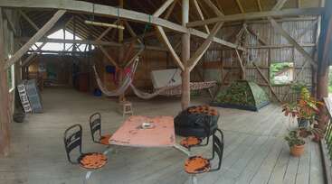 Cette chambre rustique en bois comprend des murs ouverts, des hamacs, une tente, une table avec quatre chaises, des plantes en pot, un matelas et des meubles simples sous un toit élevé.