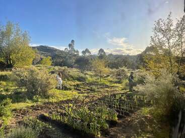 Deux personnes se promènent dans un jardin verdoyant baigné de soleil, entouré d'arbres et de montagnes, sous un ciel bleu limpide. La scène dégage une impression de sérénité, de naturel et de vitalité.