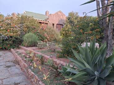 A charming cottage with a green roof stands behind lush, blooming gardens featuring succulents, vibrant flowering bushes, stone paths, and a serene, natural atmosphere.