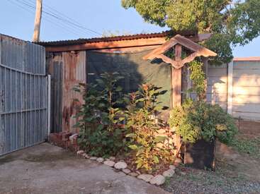 This image shows a rustic shed with a corrugated iron roof, surrounded by plants, a stone-edged garden bed, a metal gate, and a large tree overhead.