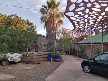 A peaceful yard with a palm tree, wooden fencing, and scattered plants. A black car and a trailer are parked, with a decorative red shade overhead.