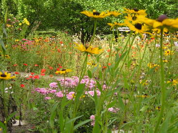 A vibrant garden filled with tall yellow daisies, pink flowers, and red blooms, lush green trees in the background, creating a peaceful, colorful summer scene.