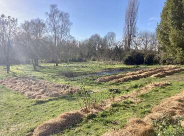 Sunlit garden with rows of straw mulch, green grassy areas, scattered trees, and a small pond. Blue sky overhead, resembling an early spring or late winter scene.