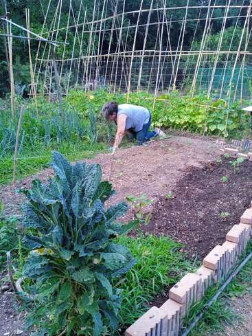 A woman tends to a garden, surrounded by lush greenery, with a trellis in the background, showcasing a serene and thriving outdoor space.