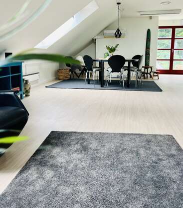 Modern, bright dining area with sloped ceiling, skylight, and large windows. Black chairs surround a dining table on a gray rug. Minimalist, airy, and welcoming atmosphere.