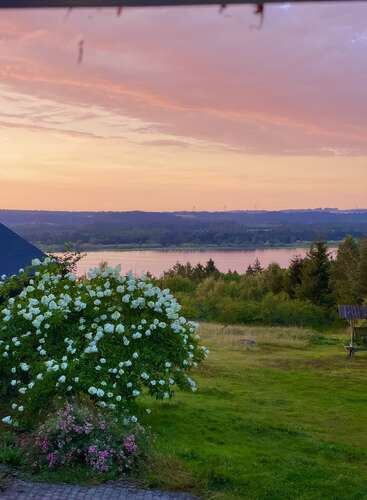 A serene landscape at sunset, featuring a bush of white flowers, a lush green lawn, distant trees, calm water, and a beautiful pastel sky.