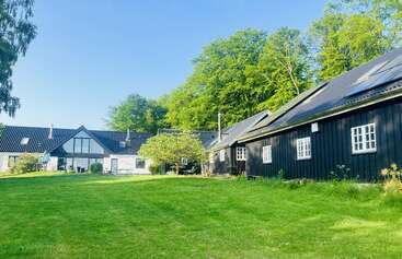 A lush green lawn stretches before charming dark wooden houses with white-framed windows, nestled under clear blue sky and surrounded by tall, vibrant trees in sunlight.