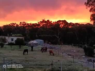 Horses graze peacefully in a fenced pasture at sunset. The sky is ablaze with bright orange and pink hues, casting a dreamy glow over the landscape.