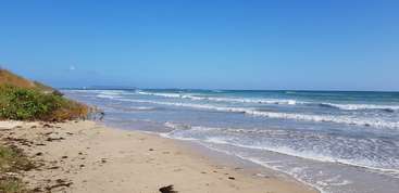 La imagen representa una serena escena playera, con una tranquila masa de agua, una orilla arenosa y un cielo despejado, que evoca una sensación de relajación y tranquilidad.