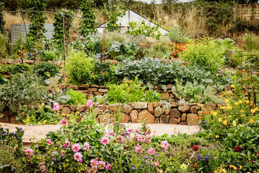 Esse jardim vibrante apresenta paredes de pedra em terraços, plantas vegetais verdejantes, flores coloridas desabrochando, treliças e uma pequena estufa, criando um oásis animado e organizado.