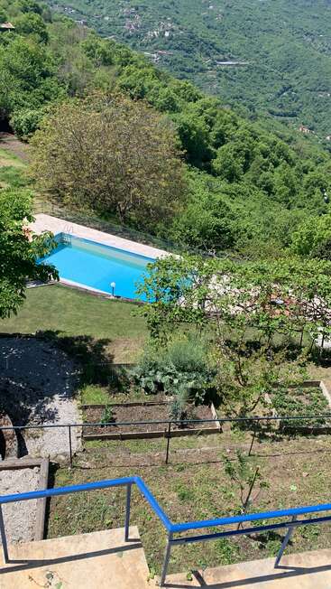 En la ladera de una colina, rodeada de árboles y parterres, se encuentra una piscina con una barandilla azul en primer plano. Un paisaje tranquilo.