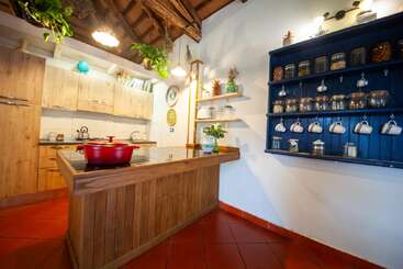 Esta acogedora cocina cuenta con armarios de madera, una maceta roja en la isla, plantas en macetas, una estantería azul repleta de tarros y tazas blancas colgantes. Iluminación cálida.